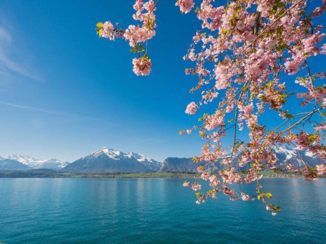 Schoene Ferienwohnung Mit Seeblick Thun Exterior foto